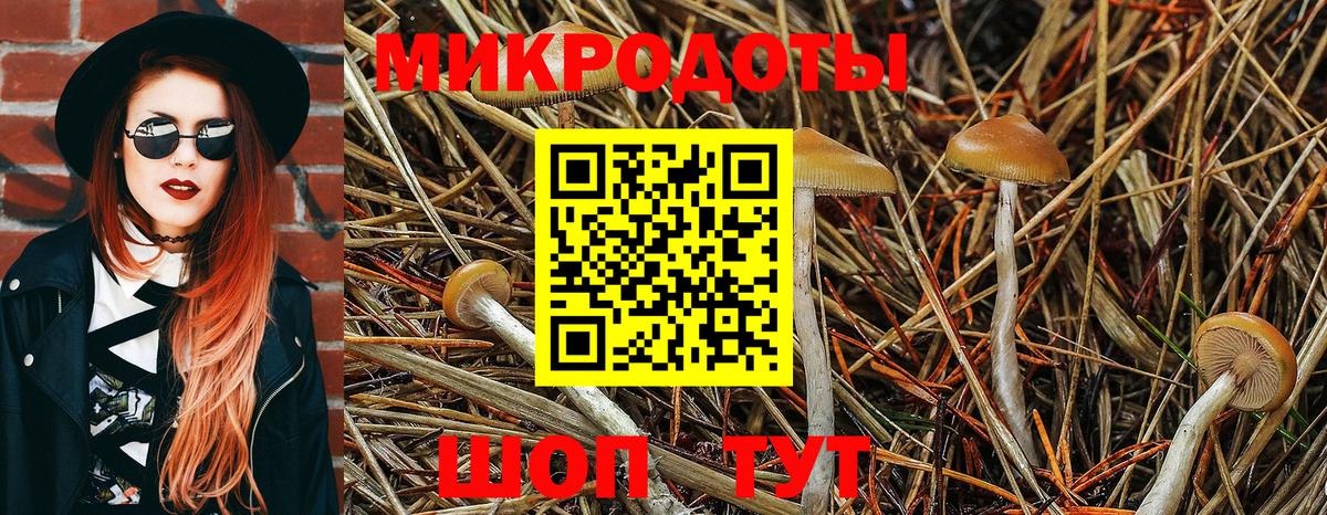 Галлюциногенные грибы MAGIC MUSHROOMS  Вход с VPN  Углич  Галлюциногенные грибы ЛСД 