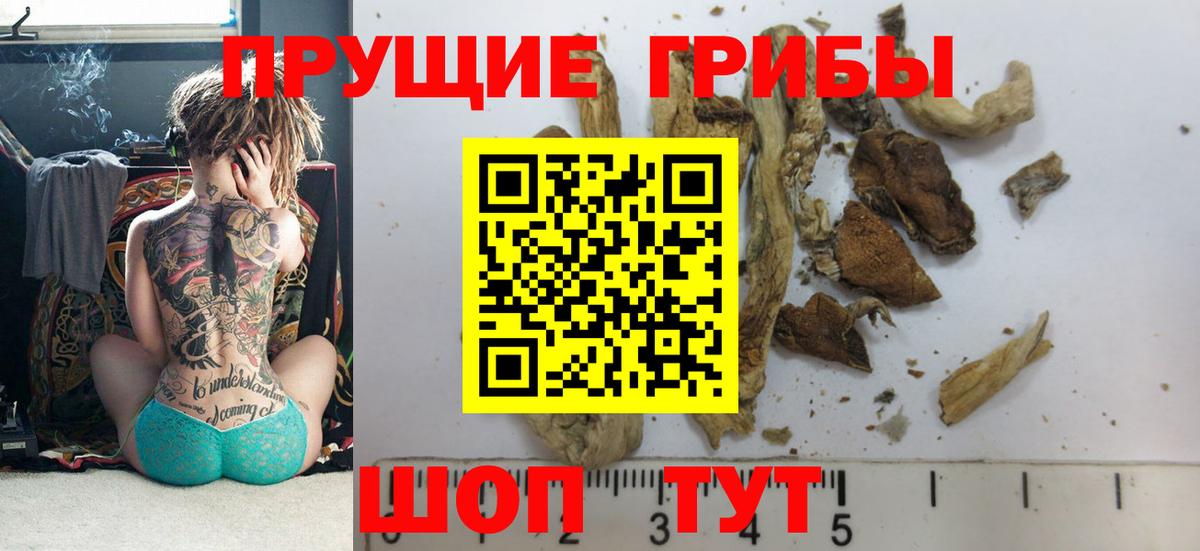 Галлюциногенные грибы Magic Shrooms Углич